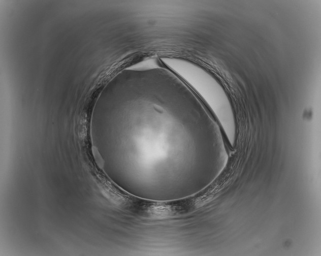 X0000096380413200801241241