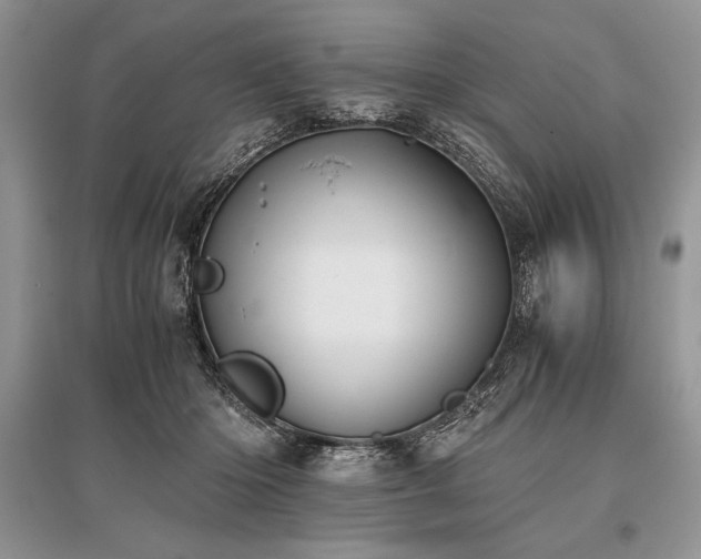 X0000096380414200801241241