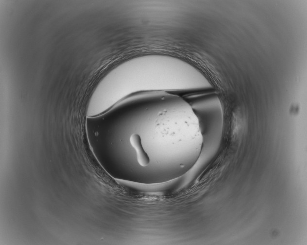 X0000096380415200801241241