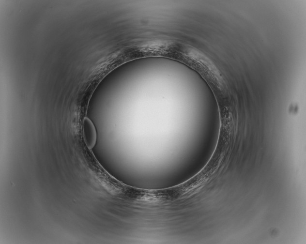 X0000096380416200801241241
