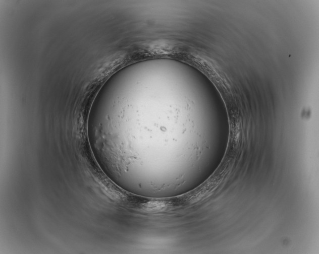 X0000096380418200801241241