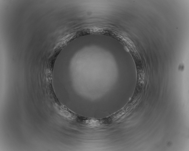 X0000096380419200801241241