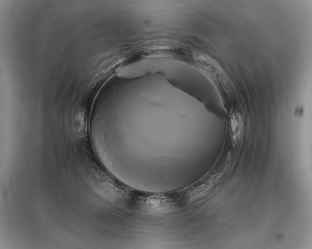 X0000096380420200801241241