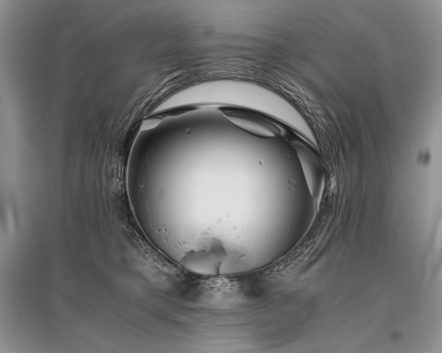 X0000096380421200801241241