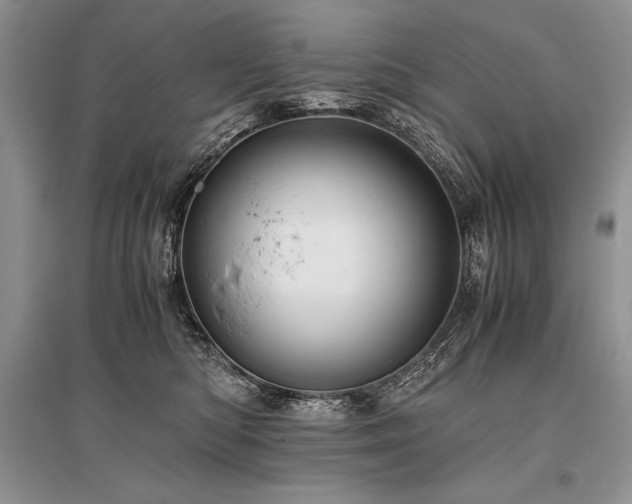 X0000096380422200801241241