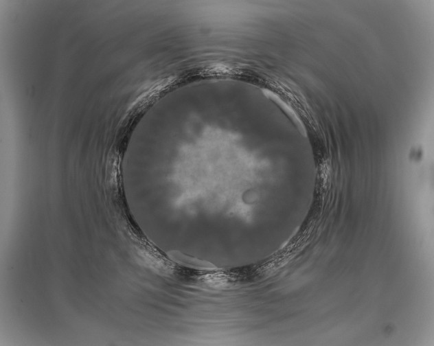 X0000096380423200801241241