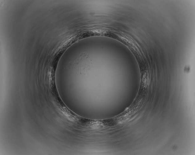 X0000096380424200801241241