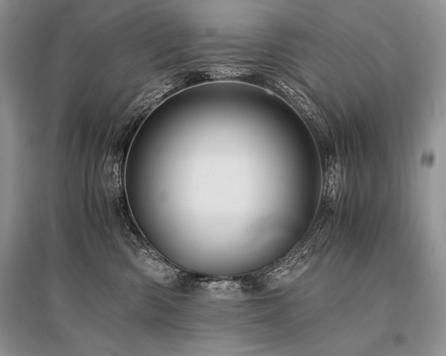 X0000096380426200801241241