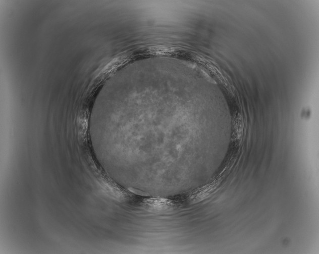 X0000096380427200801241241
