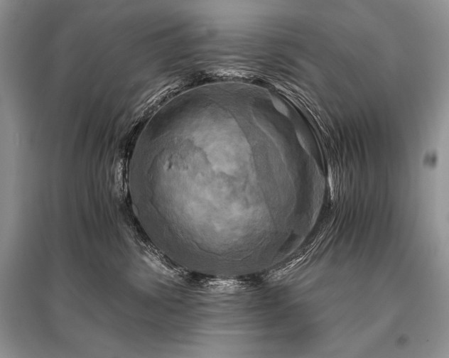 X0000096380428200801241241