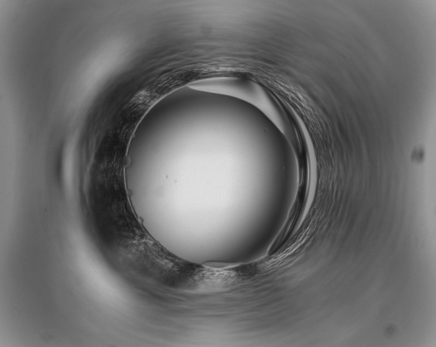 X0000096380429200801241241