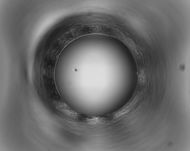 X0000096380430200801241241