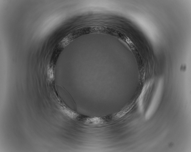X0000096380431200801241241