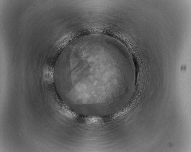X0000096380432200801241241