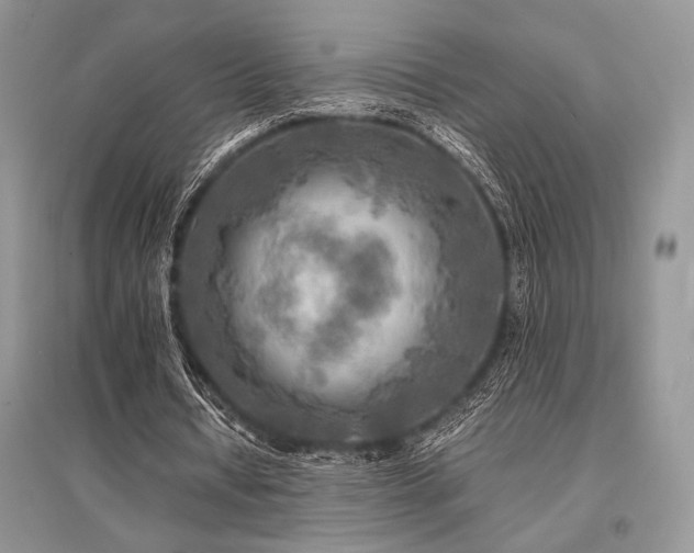 X0000096380434200801241240
