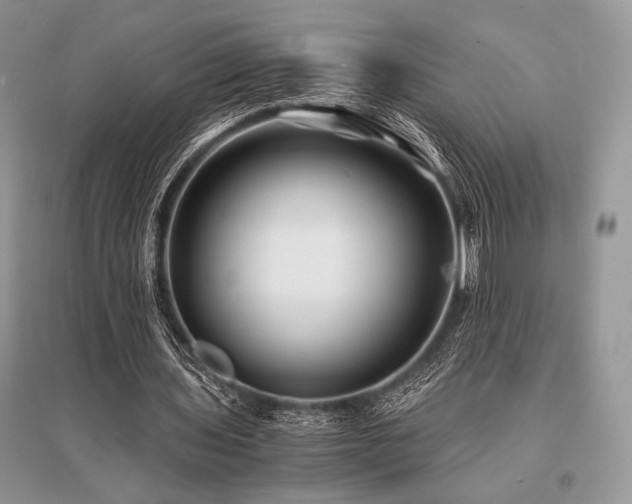 X0000096380435200801241240
