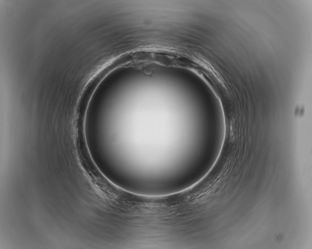 X0000096380436200801241240
