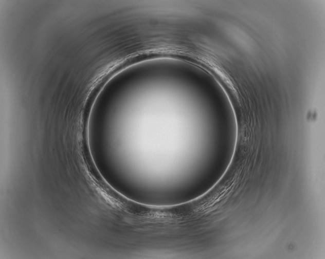 X0000096380437200801241240