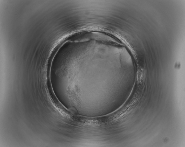 X0000096380438200801241240