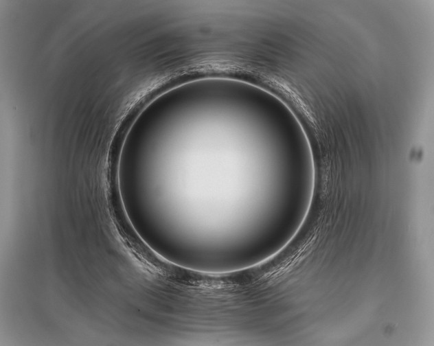 X0000096380439200801241240