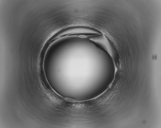 X0000096380440200801241240