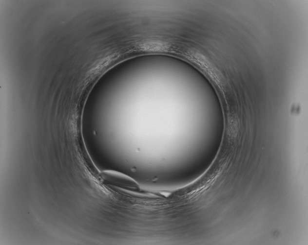 X0000096380441200801241240