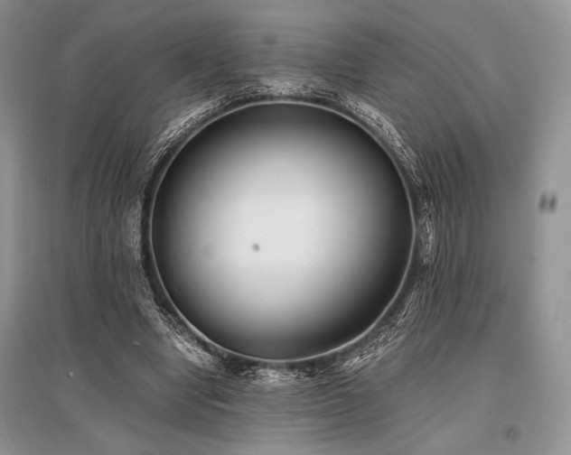 X0000096380442200801241240