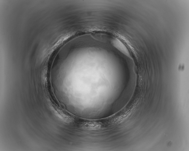 X0000096380443200801241240