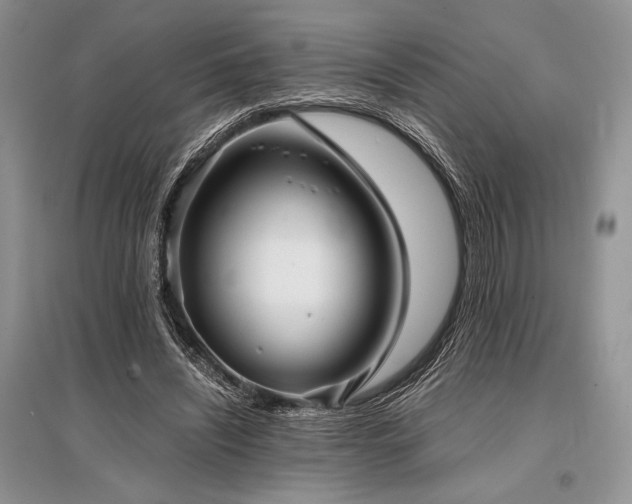 X0000096380444200801241240