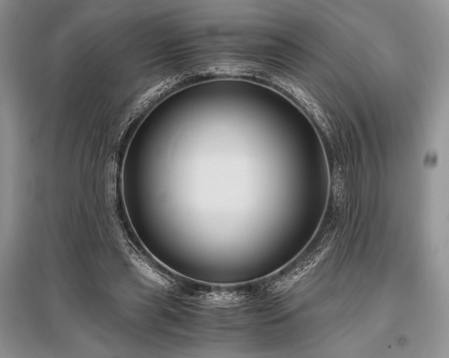 X0000096380445200801241241