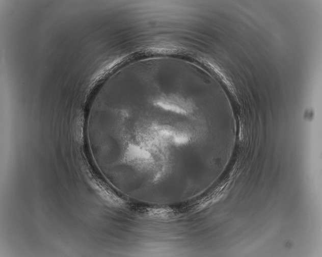 X0000096380446200801241241