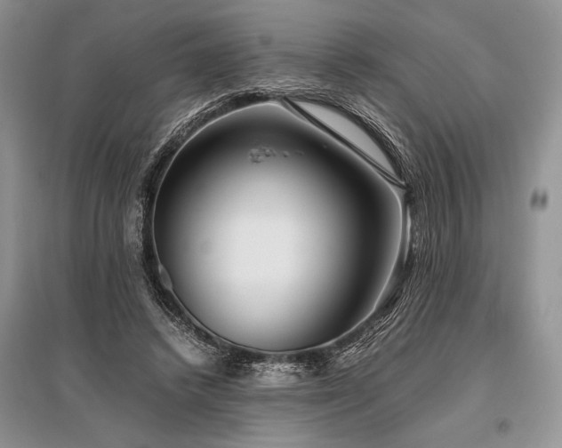 X0000096380448200801241241