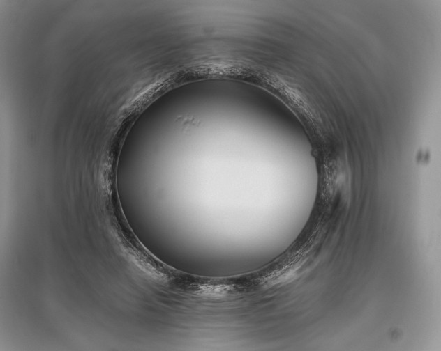 X0000096380450200801241241