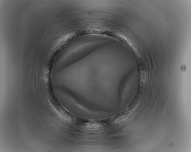 X0000096380451200801241241