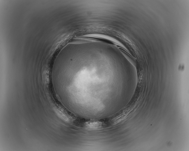 X0000096380452200801241241