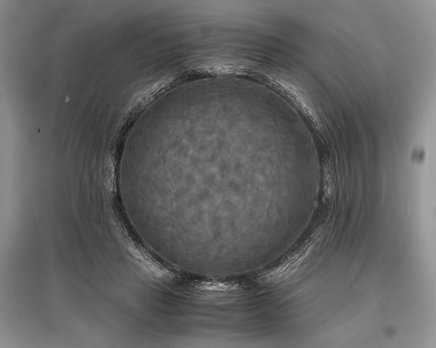 X0000096380453200801241241