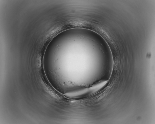 X0000096380454200801241241