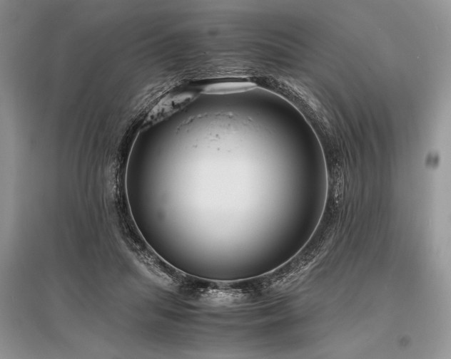 X0000096380455200801241241