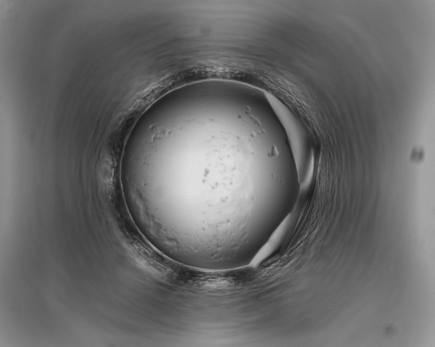 X0000096380456200801241241