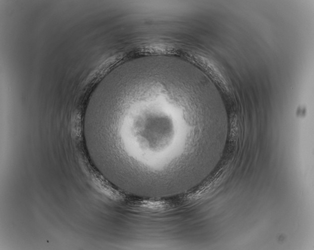 X0000096380457200801241241