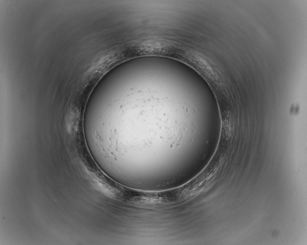 X0000096380458200801241241