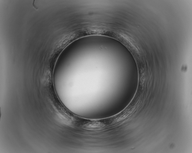 X0000096380459200801241241
