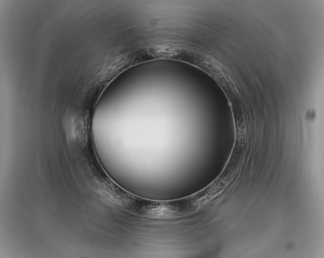 X0000096380460200801241241
