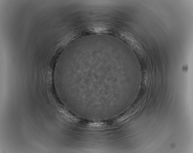 X0000096380461200801241241
