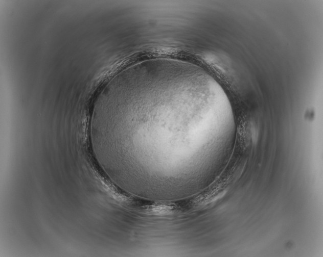 X0000096380462200801241241