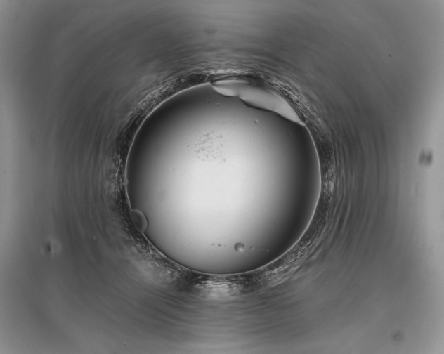 X0000096380464200801241241