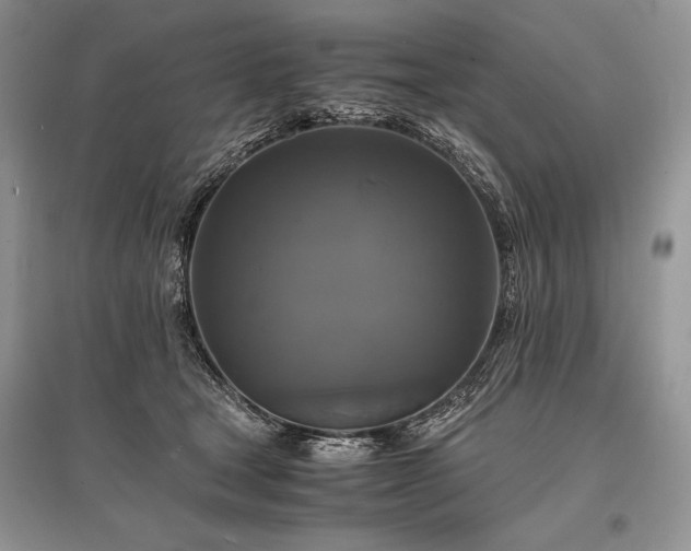 X0000096380465200801241241