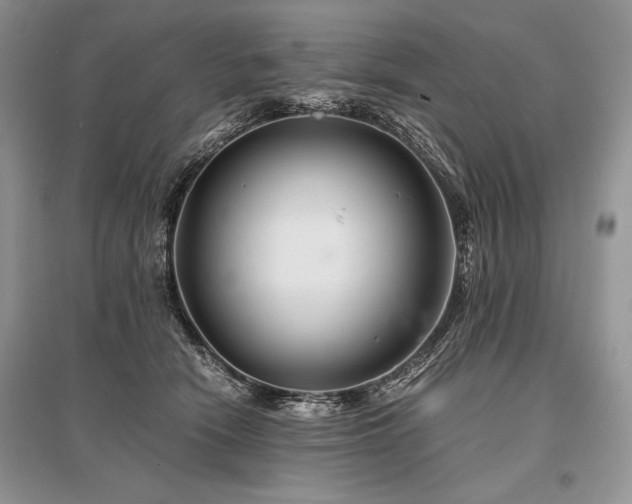 X0000096380466200801241241