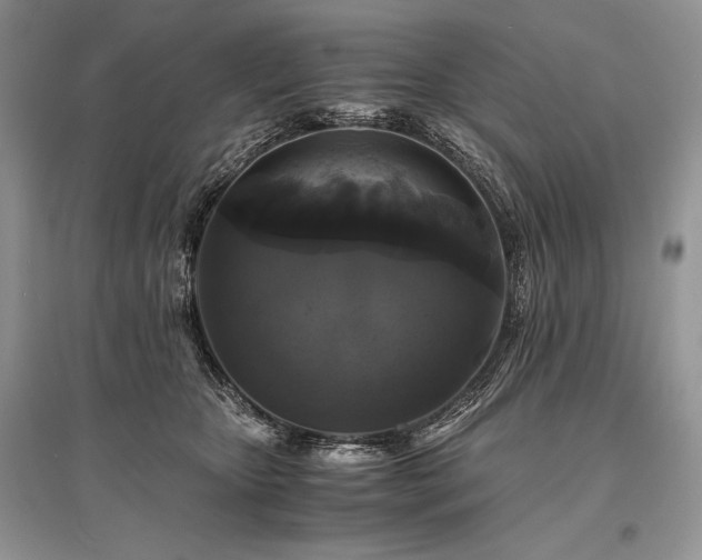 X0000096380467200801241241