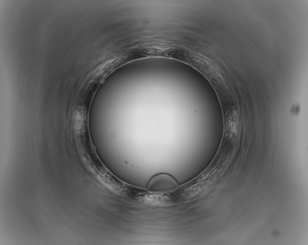 X0000096380468200801241241
